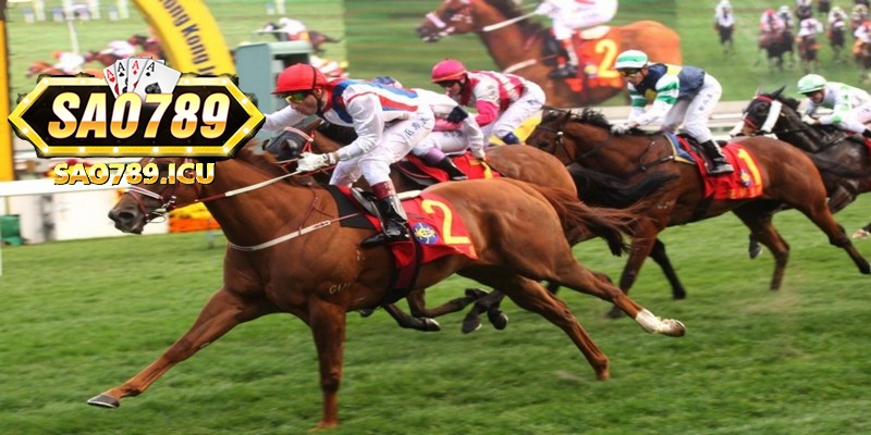 Khái niệm dễ hiểu nhất về trò chơi thể thao cá cược đua ngựa